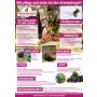 Aronia Pflanze, Aronia Strauch Sorte Nero, Premium Qualität, 60-80  cm, wurzelnackt mit Dünger